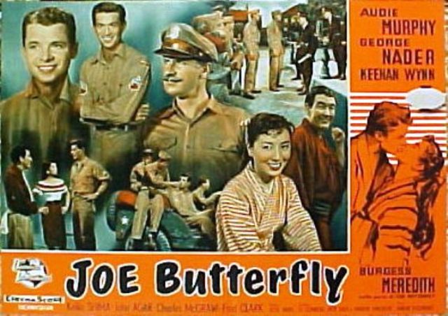 joe butterfly 1 1